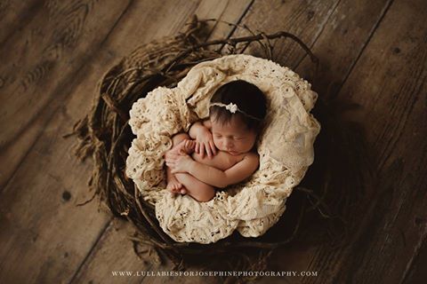 Hand Crafted Nest